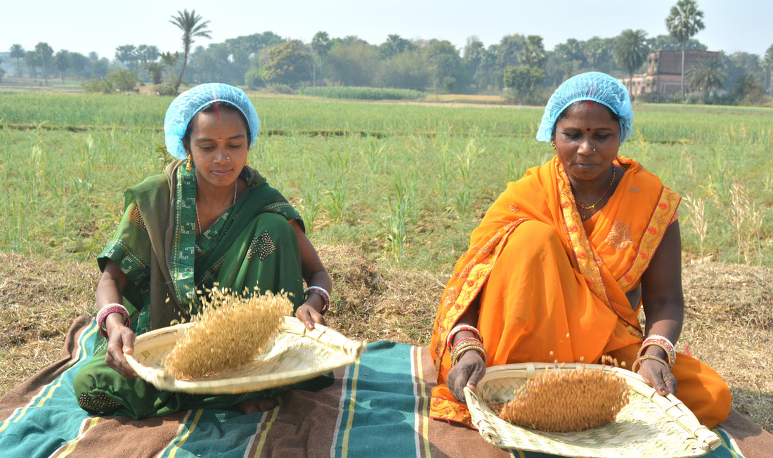 Two Indian women farmers wearing traditional saris and protective hairnets sitting outdoors in a field, hand-sorting and winnowing grains using traditional woven trays for Natureship Foods.