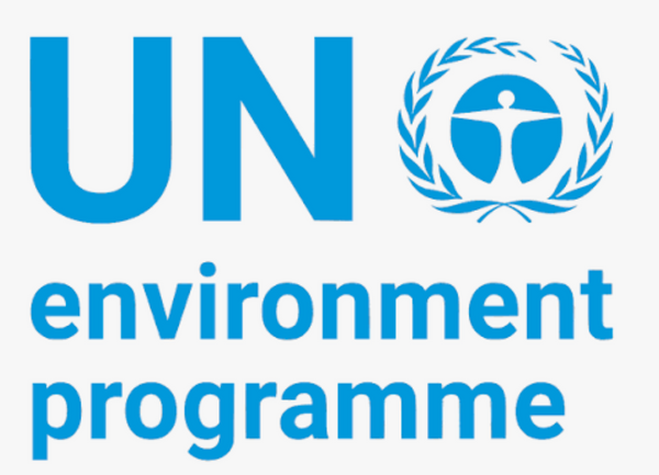 Blue UN Environment Programme logo with the text 'UN environment programme' on a white background.